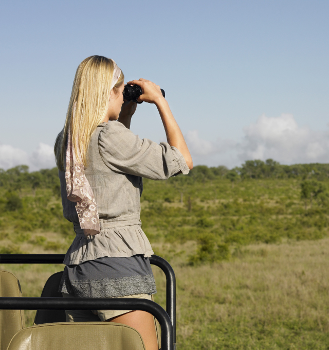 When-on-safari-main-intro-pic When-on-safari-