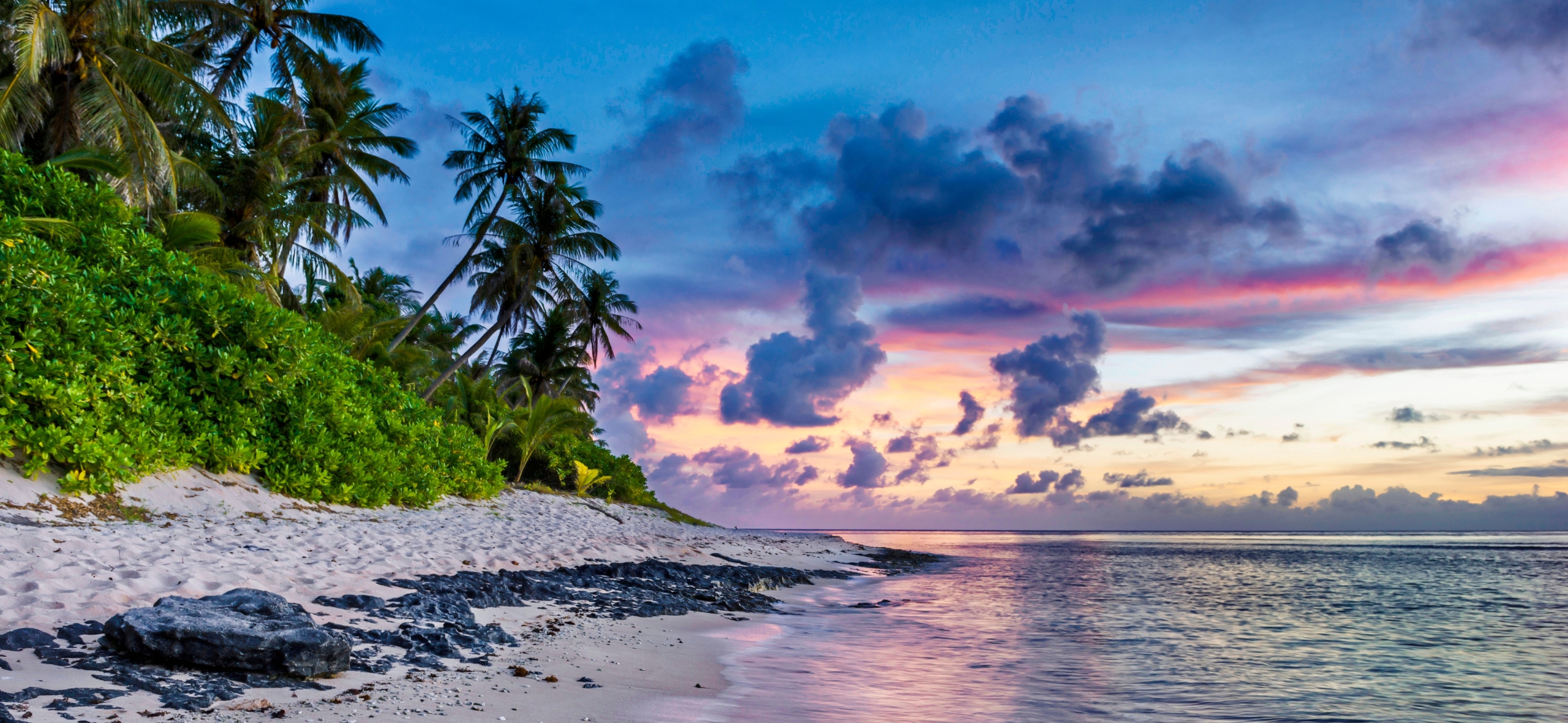 Beach Safaris